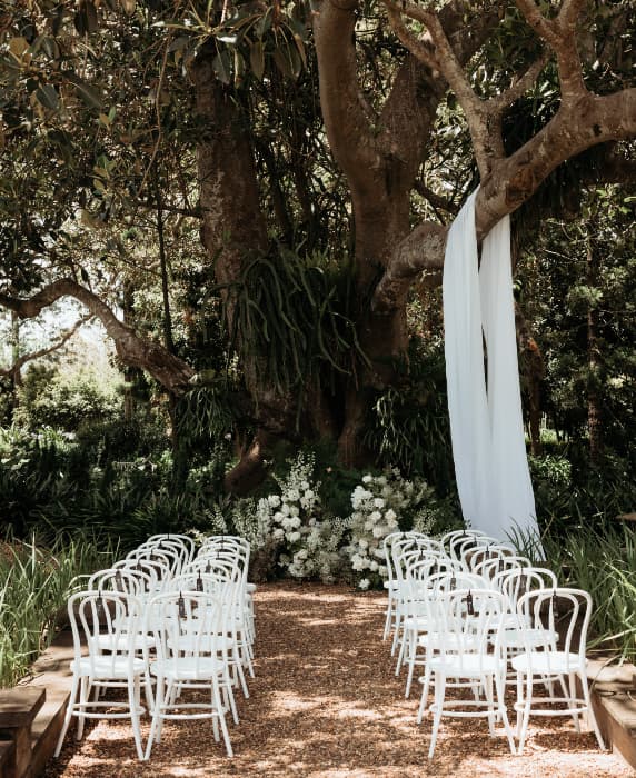 ceremony under big tree australia