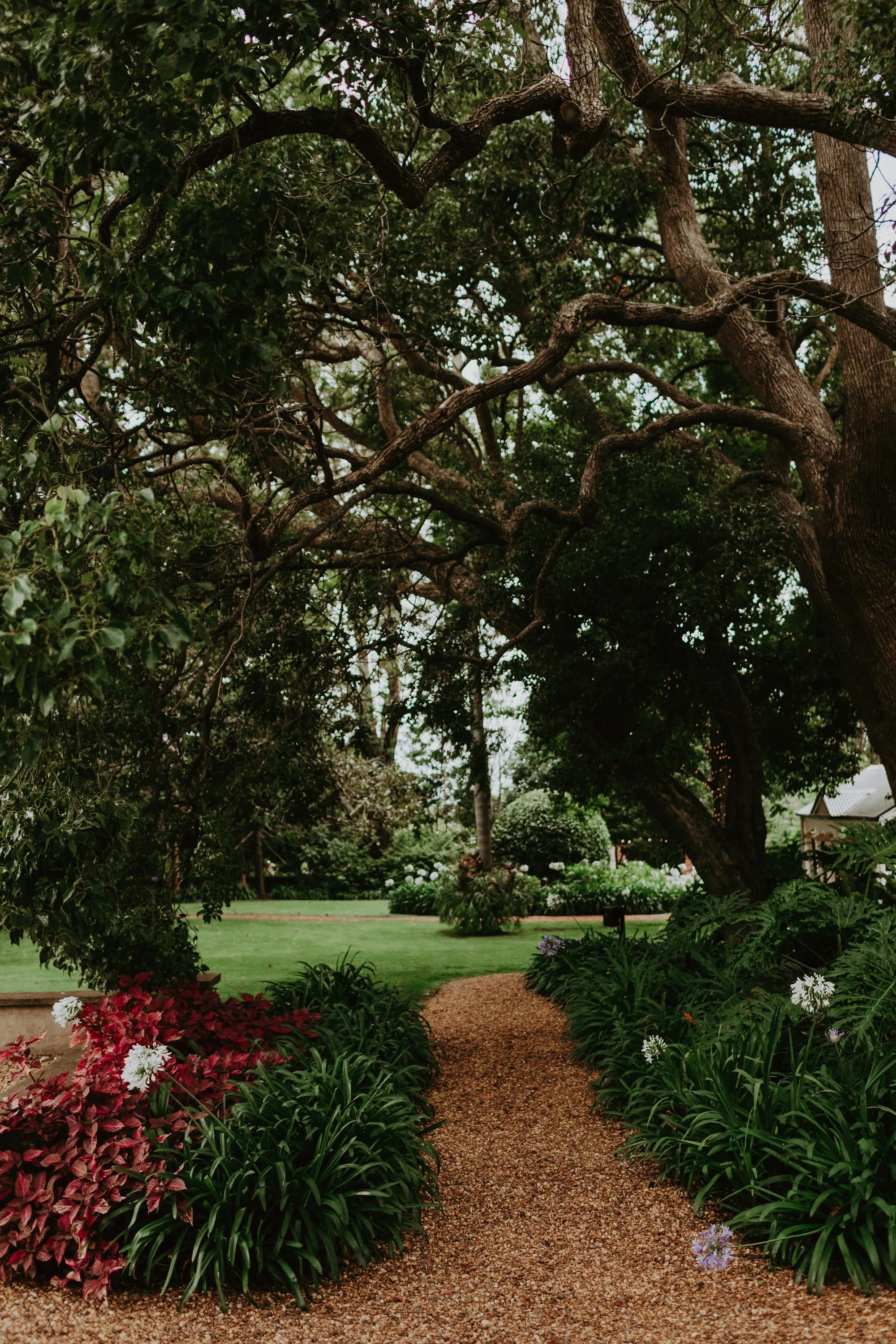 Garden path with overhead trees and flowers