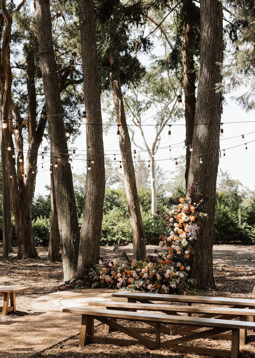 trees in the woods surrounding gabbinbar decorated with lights and flowers ready for an outdoor wedding