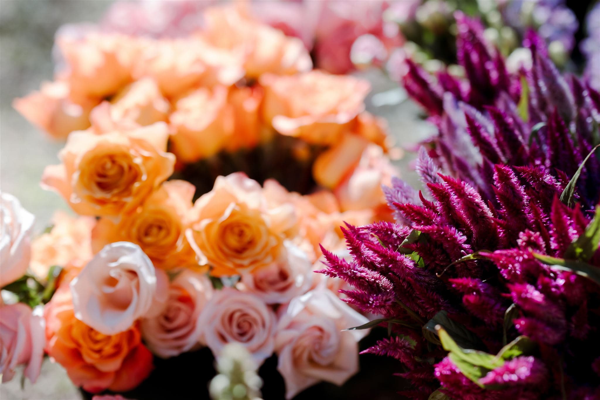 Colourful flowers