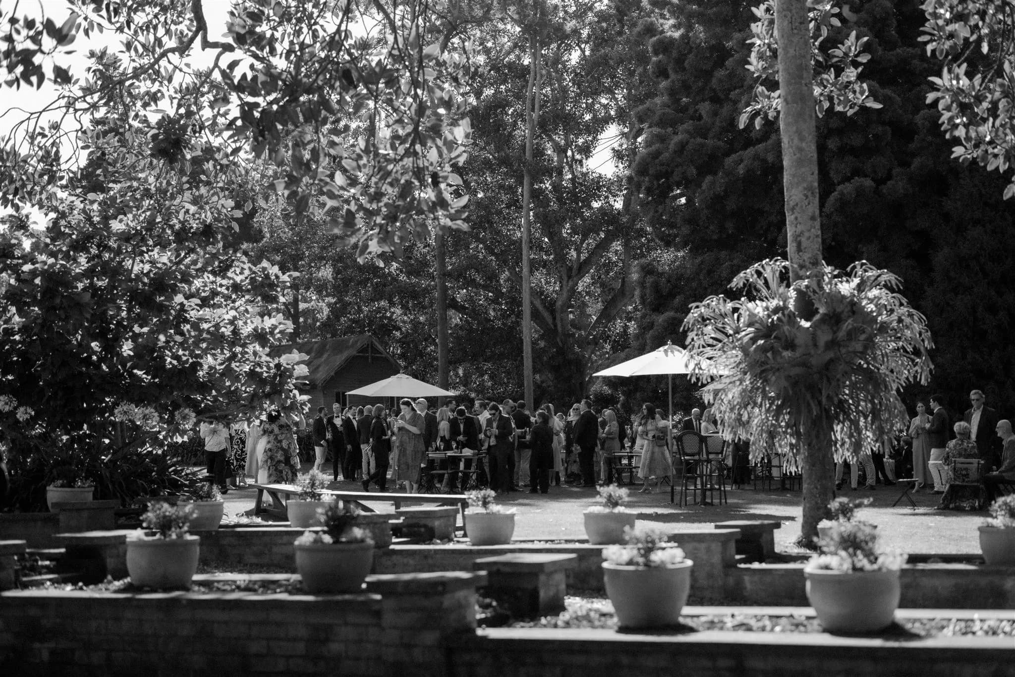 Garden party with umbrellas