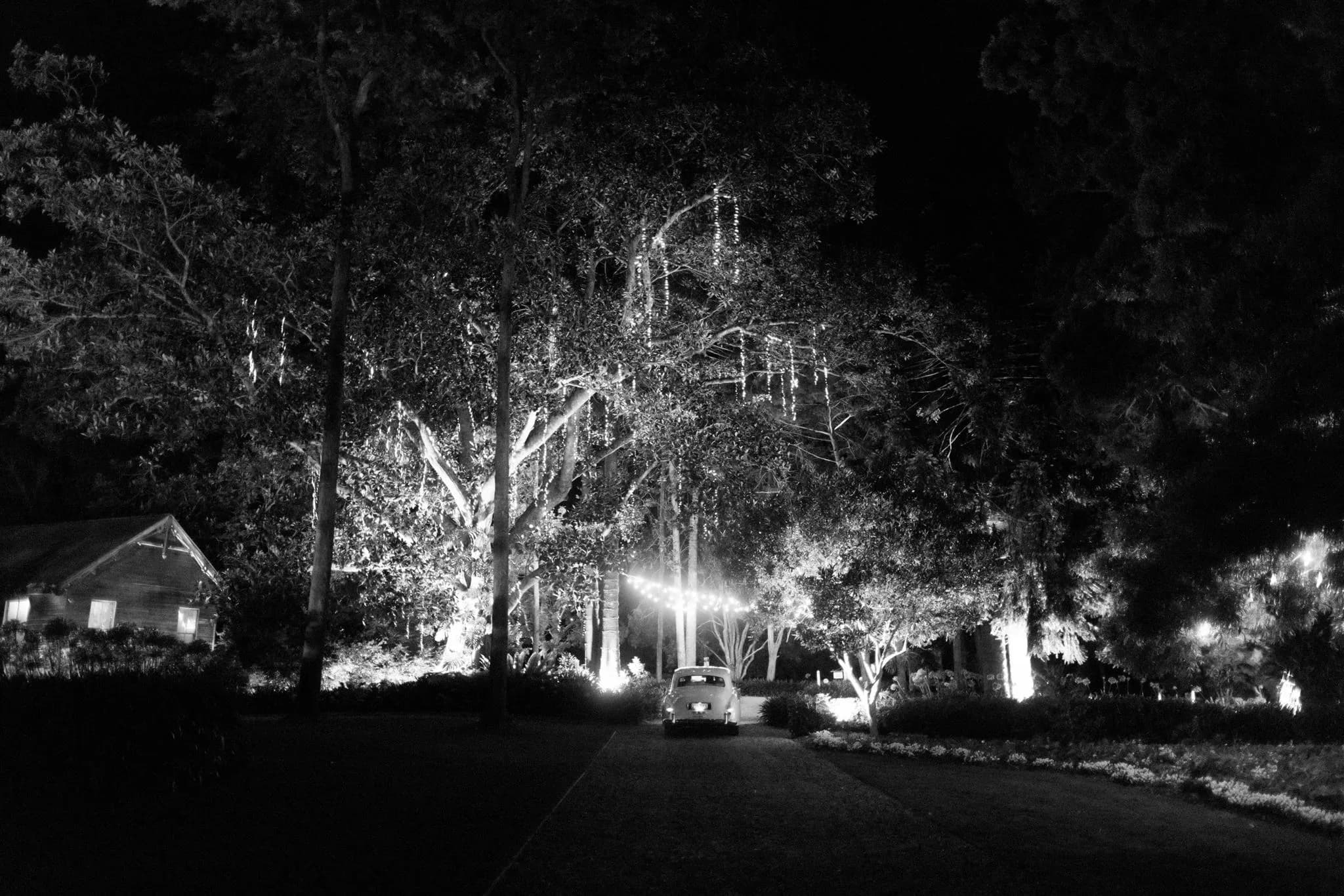 Car driving down driveway with lots of fairylights