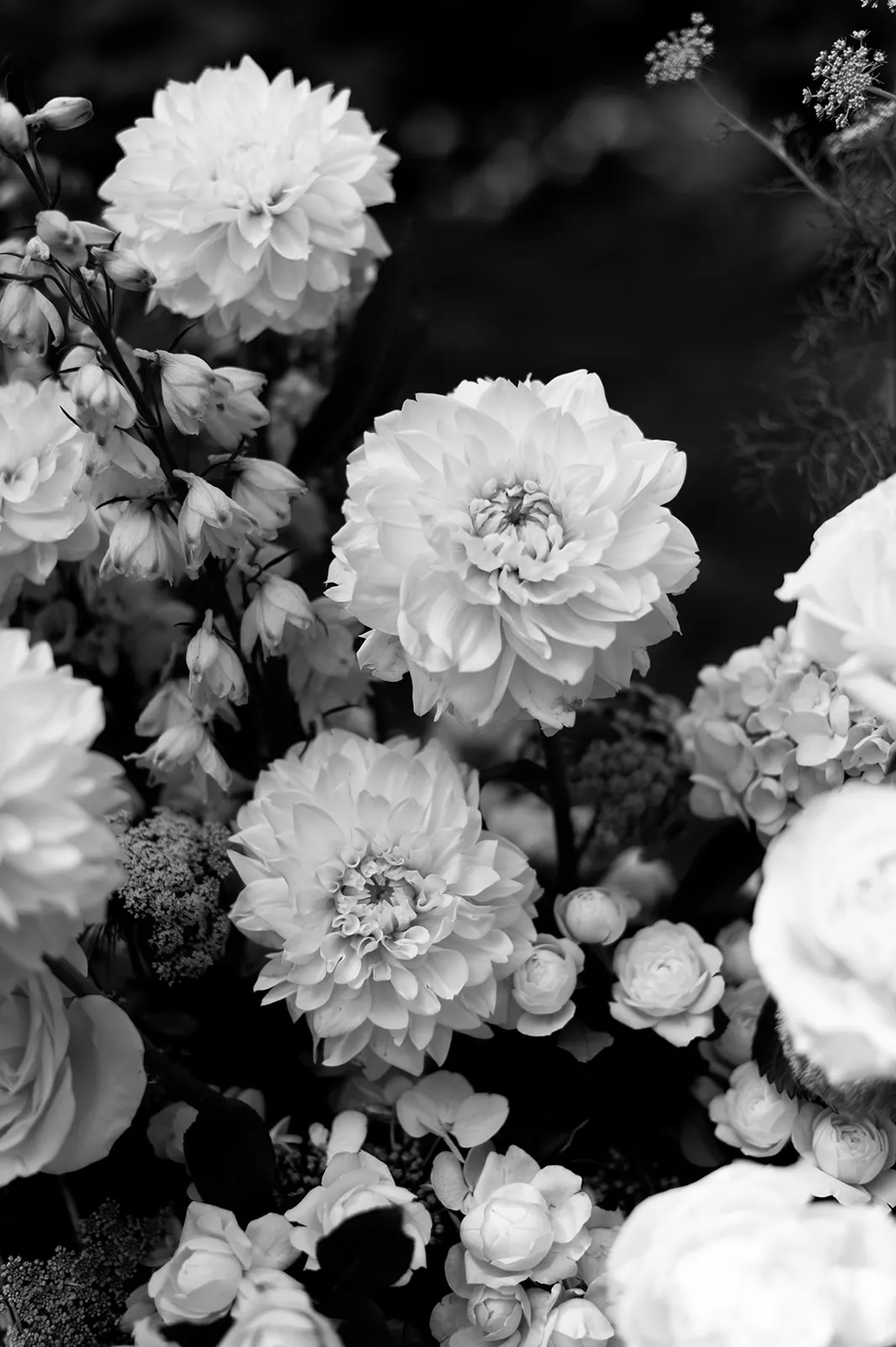A black and white photograph showing an array of various flowers, including prominent dahlias, surrounded by other smaller blossoms and foliage. The detailed petals and natural arrangement create a delicate and intricate floral display.