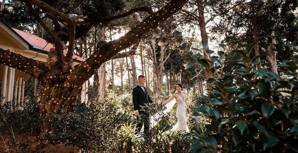 A couple stands under a tree adorned with string lights in a wooded area. The man is dressed in a suit, and the woman is in a white wedding dress, holding his hand. They are surrounded by lush greenery, with sunlight filtering through the trees.