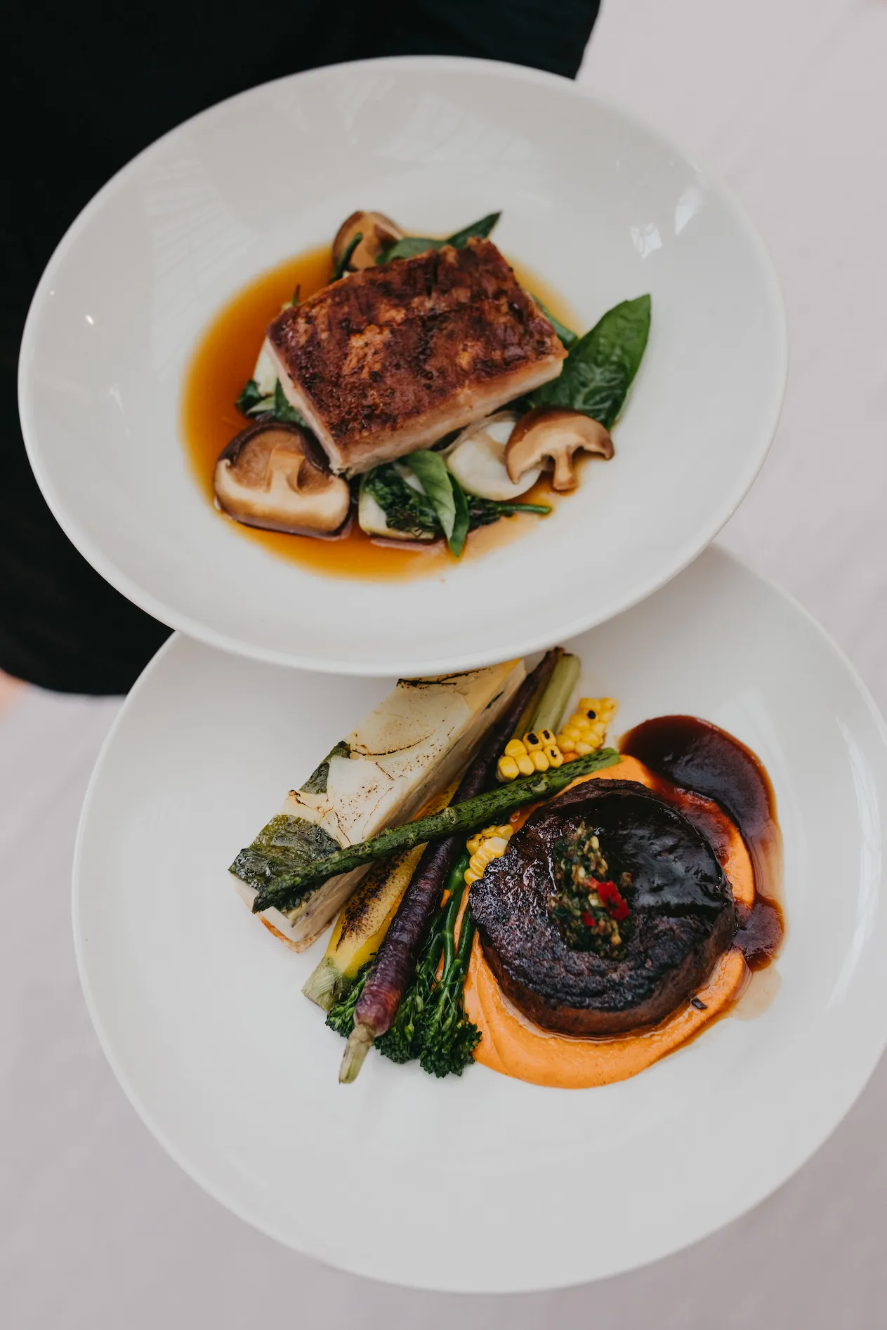 Plate with fish, plate with steak