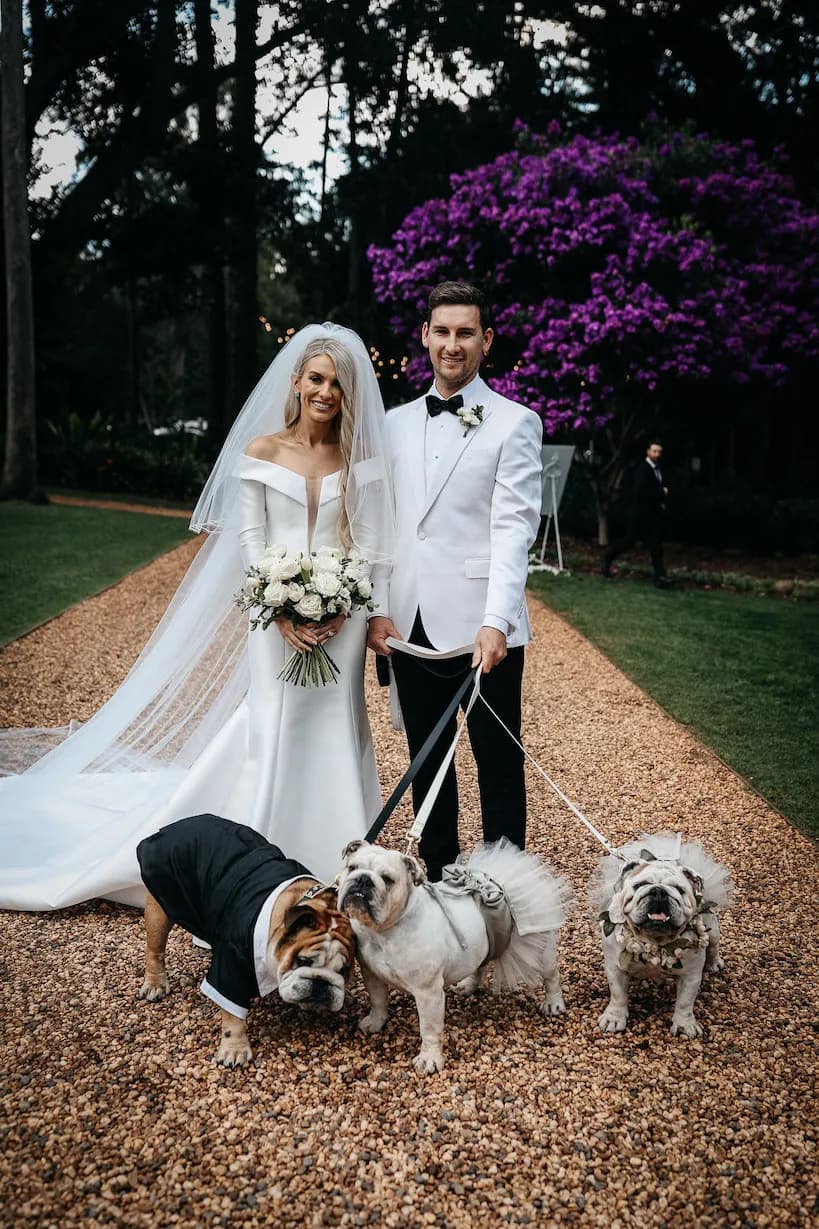 Bride and groom walking three bull dogs