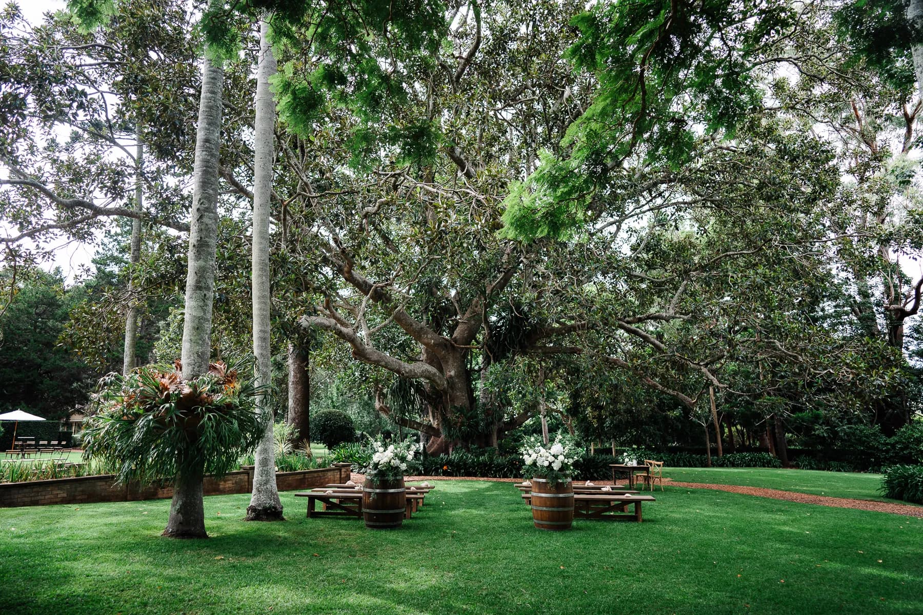 A picturesque outdoor setting featuring a large, spreading tree with abundant green foliage providing shade over several wooden benches and tables. The grass is lush and green, and decorative flower arrangements sit atop barrels, enhancing the serene atmosphere.