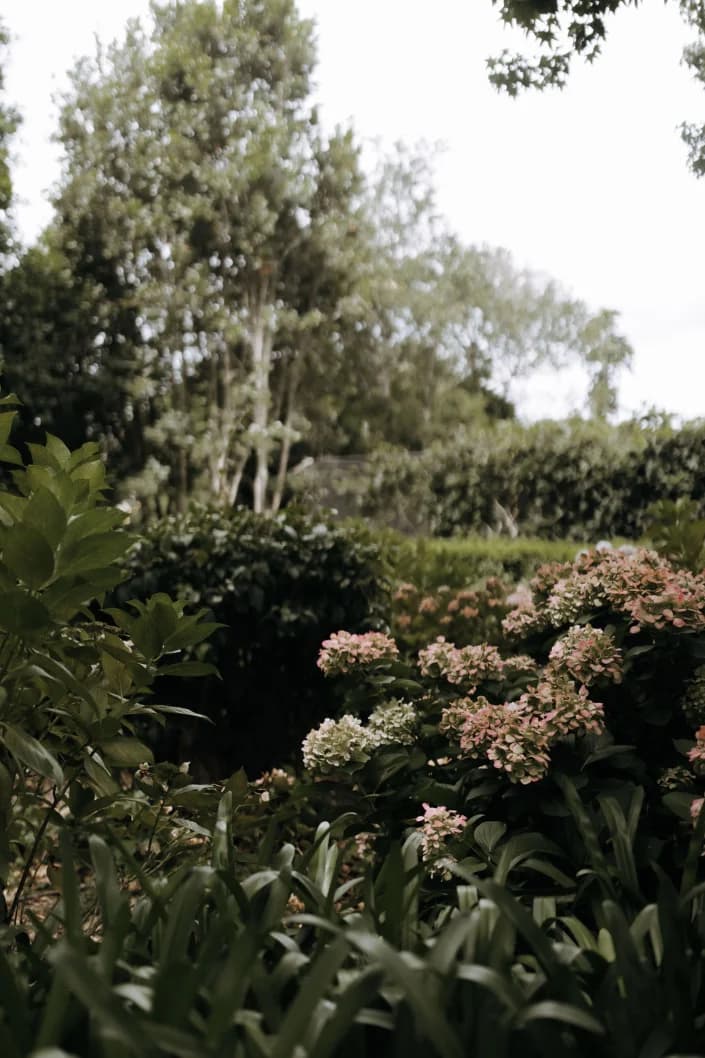 A close up of beautiful foliage at Gabbinbar