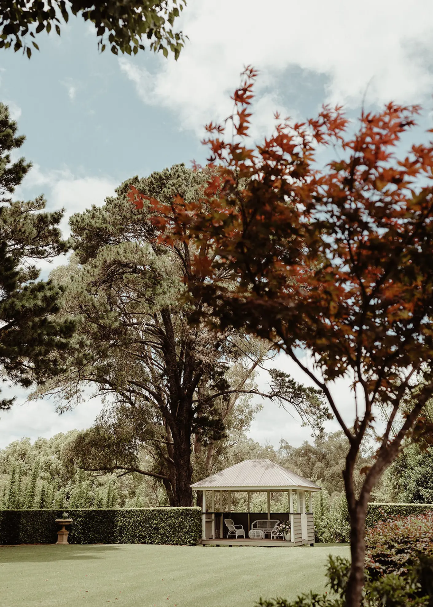 A view of the trees surrounding Gabbinbar's tennis court
