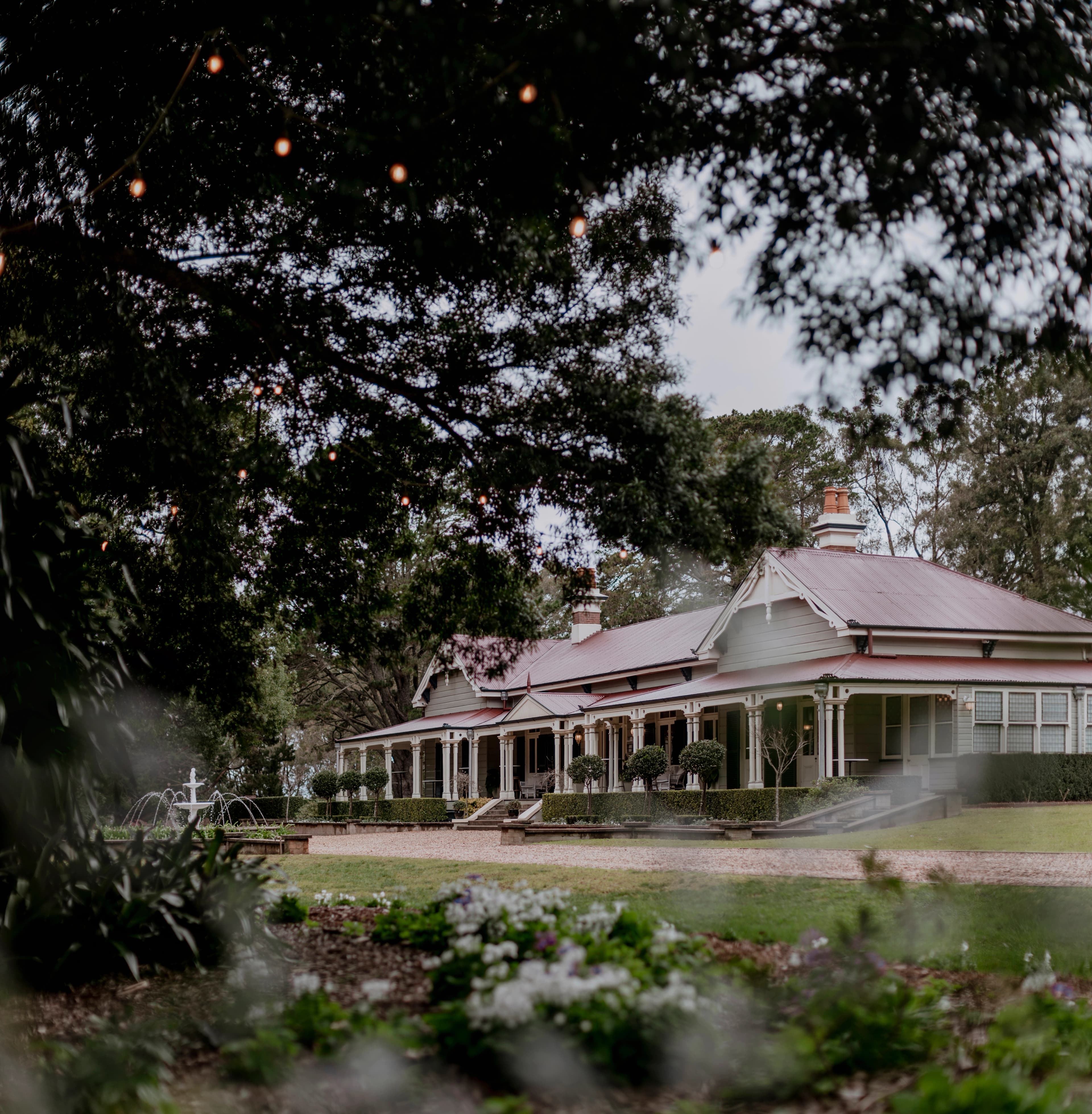 Image of Gabbinbar taken amongst flower beds