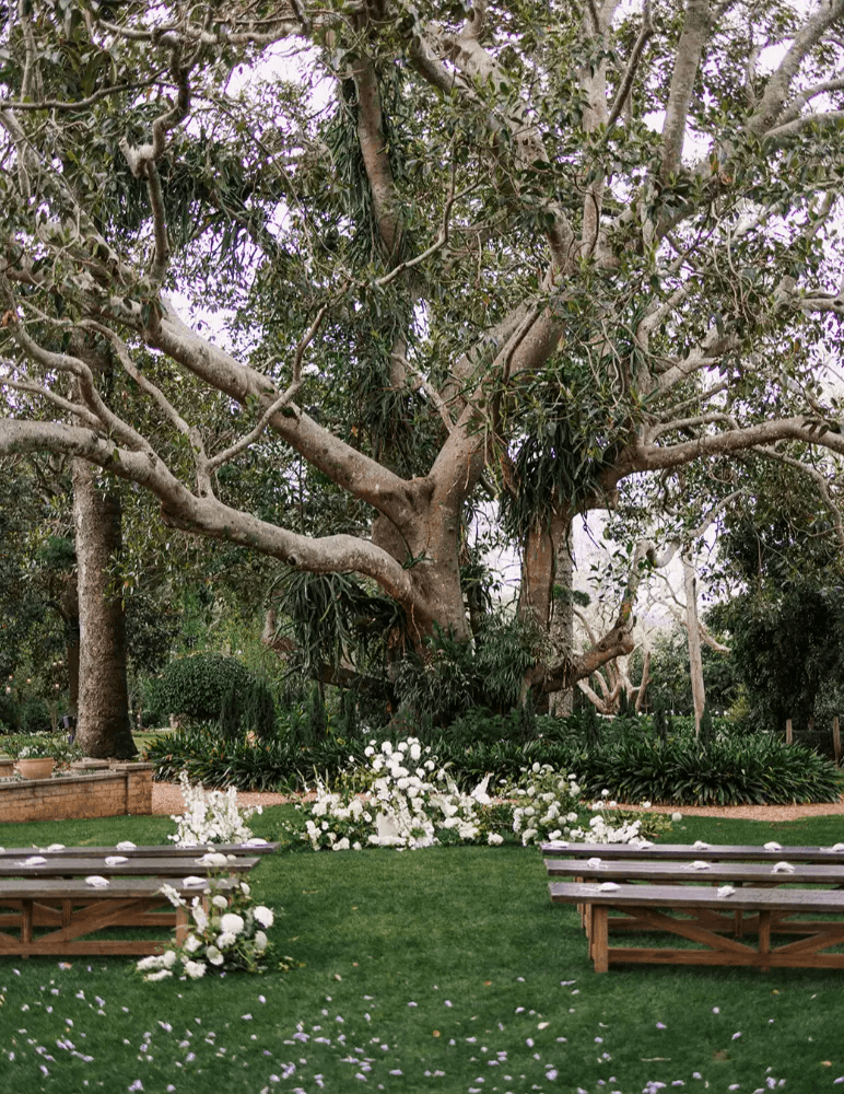 The Governor's Lawn at Gabbinbar